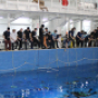 Employees of the IO RAS took part in the Russian Open Cup on remote-controlled underwater vehicles