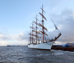 bark sedov