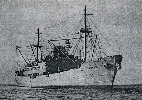 Vityaz III